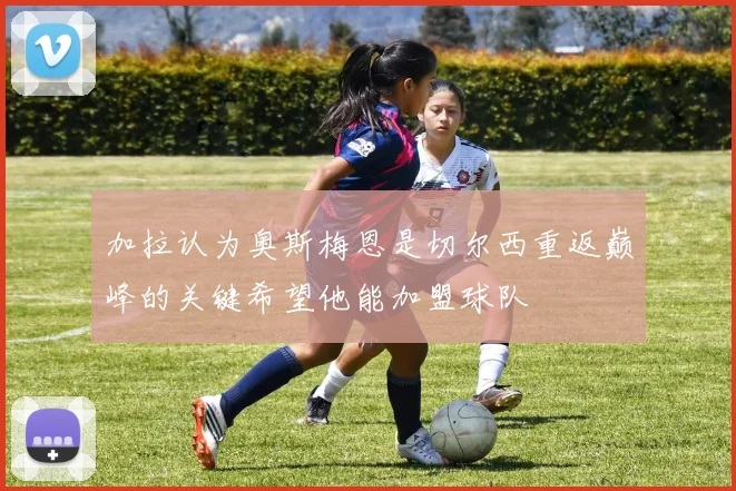 加拉认为奥斯梅恩是切尔西重返巅峰的关键希望他能加盟球队