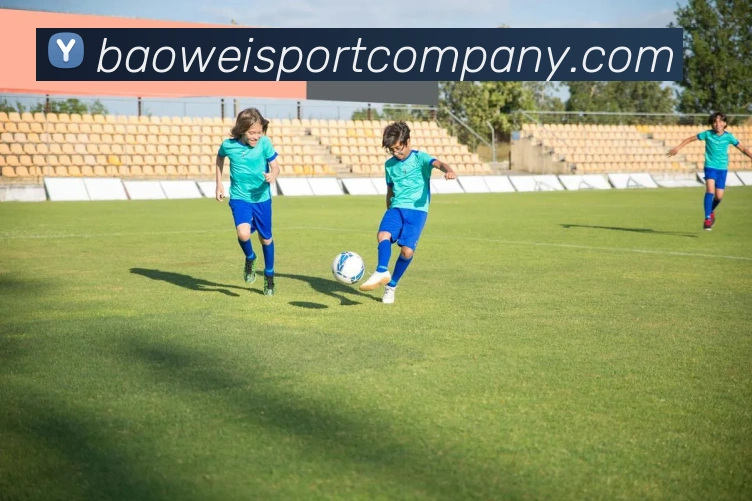 宝威体育服务体系