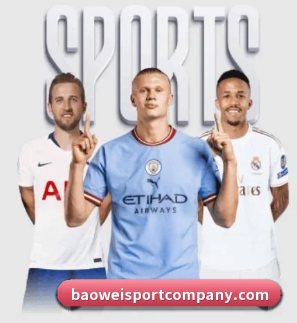 宝威体育的方向 - BOWWAYSPORTS